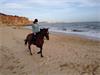 Grote foto paardrijvakanties in andalusie vakantie spaanse kust
