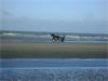 Grote foto zonnekant nieuwpoort grote studio vlakbij zeedijk vakantie belgi