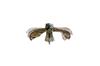 Prowler Owl