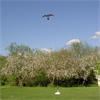 Hawk Kite 10 meter  set met paal en grondanker