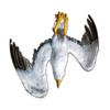 HangGull ? replica van een gevederde zeemeeuw
