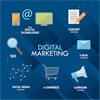 Need A professional Digital Marketer?