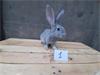 Grote foto vlaamse reusjes chinchilla kleur dieren en toebehoren konijnen