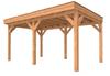 Overkapping Premium XL 600x360 cm