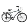 Wheelerz  herenfiets 6V Mat Grijs