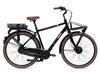 Giant Triple X E+ 1 elektrische fiets Zwart 7V