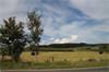 Rienne: Bouwgrond VAS1417