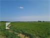 Haut-Fays : Bouwgrond 1001m² VAS1323B