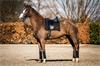 Showtime Crown dressuur zadeldek 