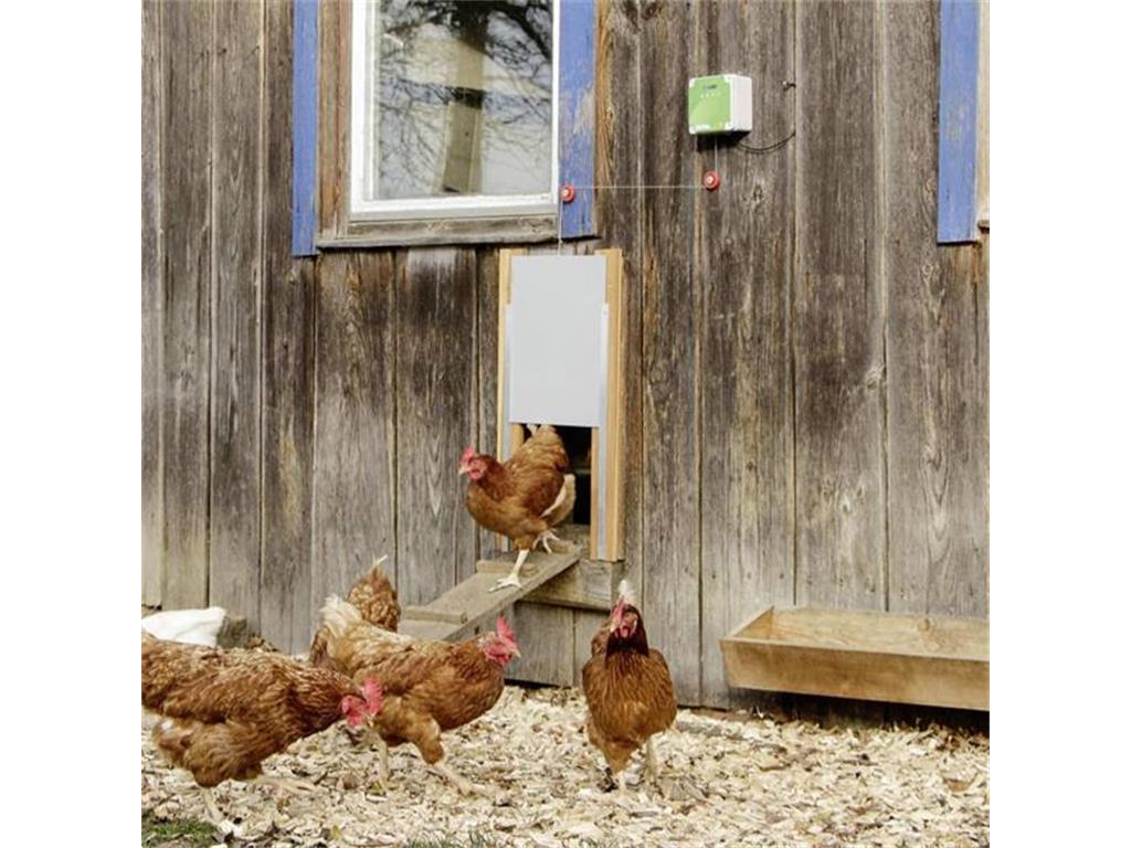 Kerbl Hobbyfarming Hühnertür inkl. Schiebetür 220 x 330 mm - Grau