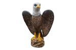 Winged Eagle, gevleugende arend met lager