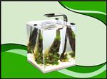 Aquael nano cube set smart II - 10 liter zwart aquarium