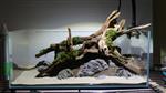 Fine sinking wood 15-25cm  - Aquarium decoratie mangrove hout