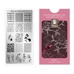 Moyra Mini Stamping Plate 103 Birds Always Sing