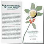 Spanje 2 Euro 2022 'Nationaal Park Garajonay' PROOF