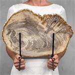 GEEN MINIMUMVERKOOPPRIJS - C - Prachtig stuk versteend hout op een aangepaste standaard - Gefossilis