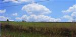 BEAUWELZ (Momignies – Chimay): bouwgrond 