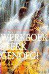 WERKBOEK STERK GENOEG