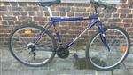 mountainbike GLOBETROTTER