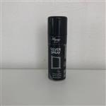 Hagerty Silver spray 200 ml