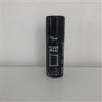 Hagerty Silver spray 200 ml