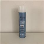 Hagerty Foam Shampoo