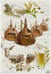 Hertog jan poster het brouwen