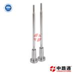 Common Rail Valve FOOVC01324
