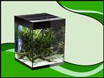 Aquael Glossy cube 50 D&N zwart aquarium