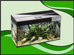 Aquael Glossy 100 zwart aquarium