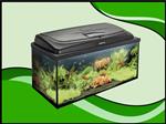 AQUA4 FAMILY 80 recht aquarium set compleet