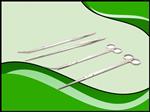 RVS Plantenschaar en plantenpincet assortiment (aquascape tools)