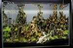 Dragon stone 8-15cm - aquarium decoratie stenen