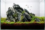 Ordinairy Tsinglung 10-20cm  - aquarium decoratie steen