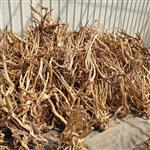 Boutique stump 70-85cm aquarium decoratie hout