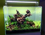 Coral wood 20-30cm aquarium decoratie hout