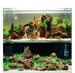 Maple Leaf stone 10-20cm - aquarium decoratie stenen
