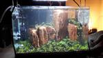 Red Wood stone 10-15cm - aquarium decoratie stenen