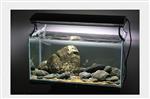 Brook stone 10-15cm - aquarium decoratie stenen