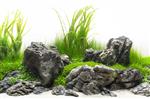 Grey Luo Hanshi 10-15cm - aquarium decoratie stenen