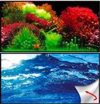 Osaka achterwandposter Ocean/Ruby  zelfklevend