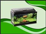 AQUA4 START 60 recht aquarium set compleet