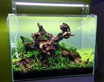 Coral wood 20-30cm aquarium decoratie hout