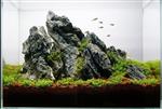 Ordinairy Tsinglung 20-30cm  - aquarium decoratie steen