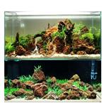 Maple Leaf stone 10-20cm - aquarium decoratie stenen
