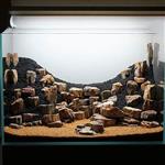 Petrified stone 10-20cm - aquarium decoratie stenen