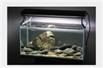 Brook stone 10-15cm - aquarium decoratie stenen