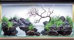 Volcanic rock 20-30cm - aquarium decoratie stenen
