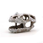 Prehistorische schedel 10 cm / aquariumdecoratie As-280