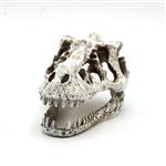 Prehistorische schedel 7cm / Aquariumdecoratie  As-281
